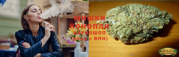 spice Бугульма