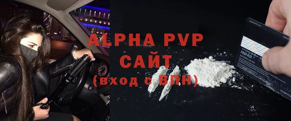 прущие крисы Бородино