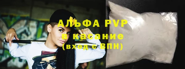 прущие крисы Бородино