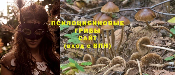 spice Бугульма