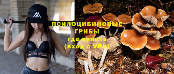 spice Бугульма