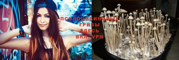 трава Бронницы