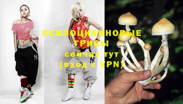 трава Бронницы