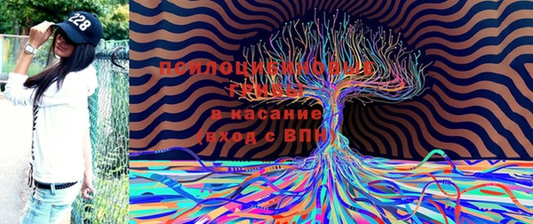 spice Бугульма