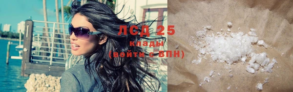 прущие крисы Бородино