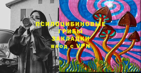 spice Бугульма